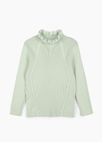 М'ятний зимовий светр No Brand