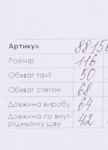 Синие спортивные демисезонные брюки Grace