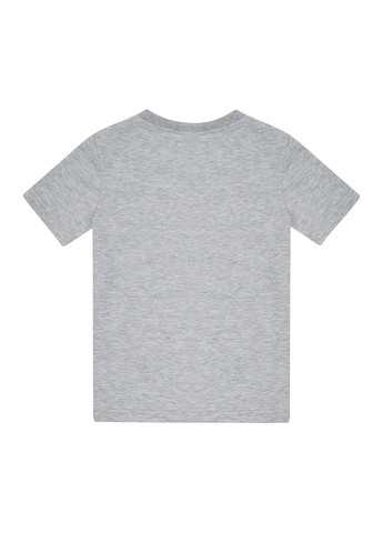 Світло-сіра літня футболка Garnamama