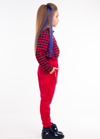Красные кэжуал демисезонные со средней талией брюки Sofia Shelest
