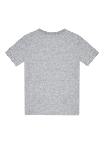 Серая летняя футболка Garnamama