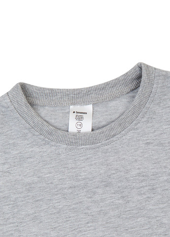 Серая летняя футболка Garnamama