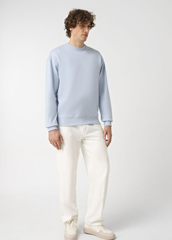 Светло-голубой свитшот Promin однотонный без декора (324145682)