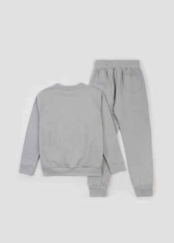 Костюм (світшот, штани) ArDoMi (363451999)