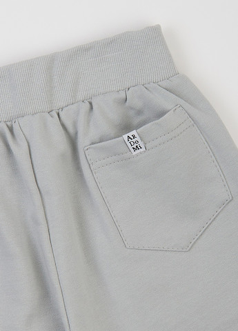 Костюм (світшот, штани) ArDoMi (363451999)