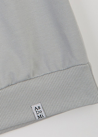 Костюм (світшот, штани) ArDoMi (363451999)