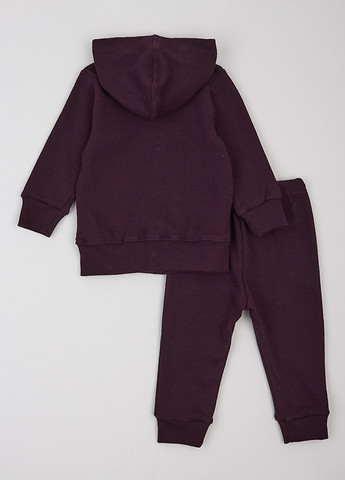 Спортивний костюм (толстовка, штани) Фламинго (314603340)