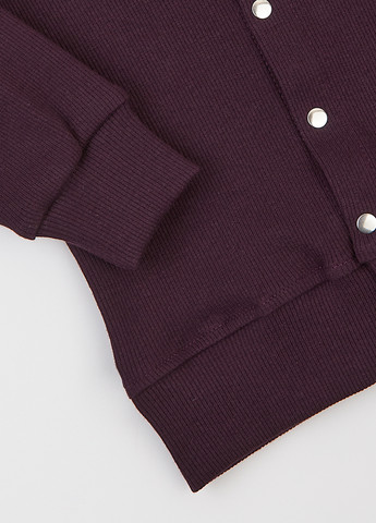 Спортивний костюм (толстовка, штани) Фламинго (314603340)