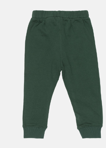 Зеленые спортивные демисезонные брюки H&M