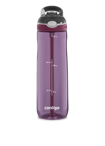 Бутылка спортивная 0,72 л Contigo однотонная фиолетовая