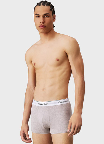 Труси (3 шт.) Calvin Klein (347589815)