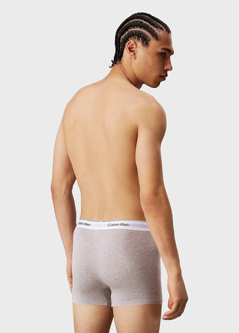 Труси (3 шт.) Calvin Klein (347589815)