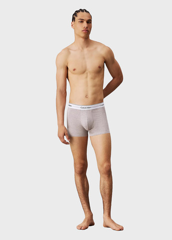 Труси (3 шт.) Calvin Klein (347589815)