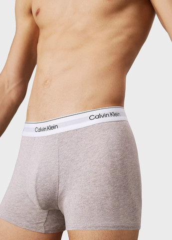 Труси (3 шт.) Calvin Klein (347589815)