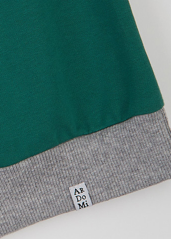 Костюм (світшот, штани) ArDoMi (363452008)