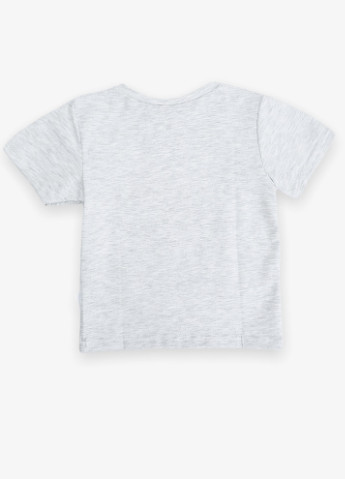 Сіра демісезонна футболка дитяча міньйони сіра Ромашка