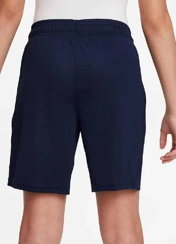 Шорты DB8244-451 Nike Dynamic Fit Park20 (367043686)