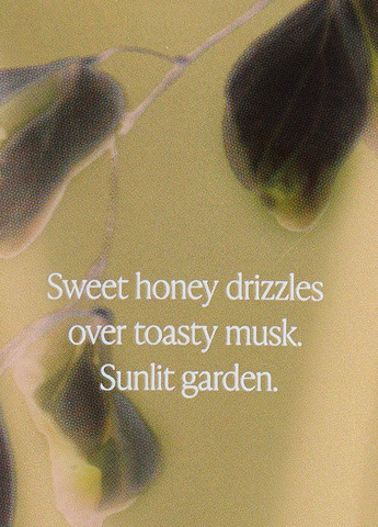 Набір для тіла (2 пр.) Victoria's Secret (303686135)