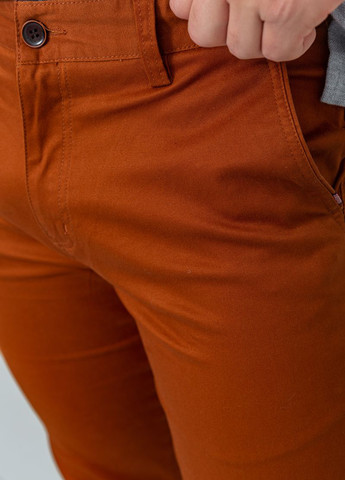 Терракотовые кэжуал демисезонные чиносы брюки Ager