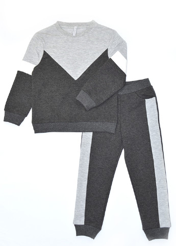 Серый демисезонный костюм (свитшот, брюки) брючный Vidoli