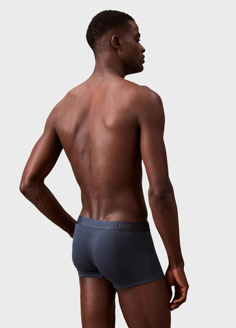 Трусы (3 шт.) Calvin Klein (366302647)