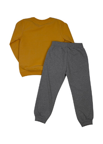 Помаранчевий демісезонний костюм (світшот, брюки) Breeze