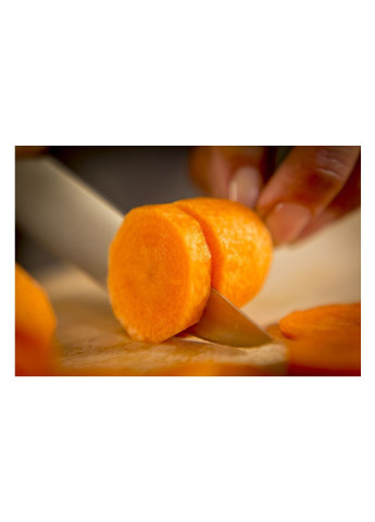 Кухонный нож Ice Force 11 см (K2320914) Tefal (254082687)