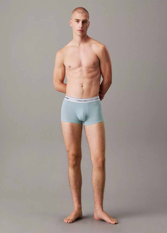Труси (3 шт.) Calvin Klein (367175384)
