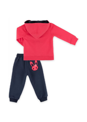 Синий демисезонный спортивный костюм на молнии с зайчиком (9617-92g-coral) Breeze