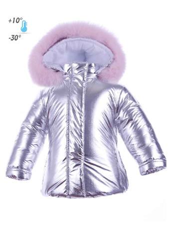 Серебряный зимний комплект (куртка, комбинезон) Pilguni