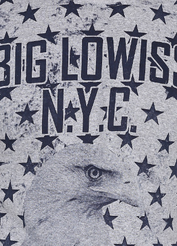 Серая футболка Big Lowiss