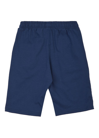 Шорты Flamingo (330227500)