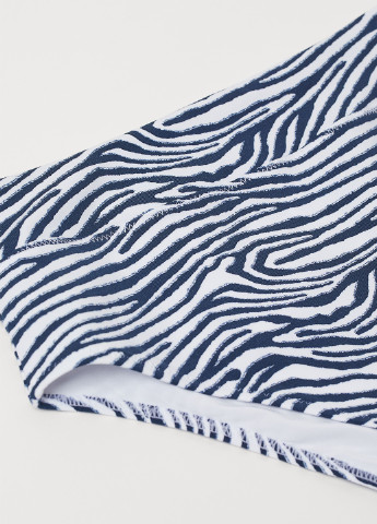 Цветные купальные трусики-плавки зебра H&M