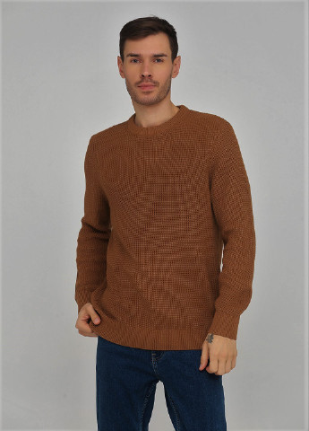 Коричневий зимовий светр H&M