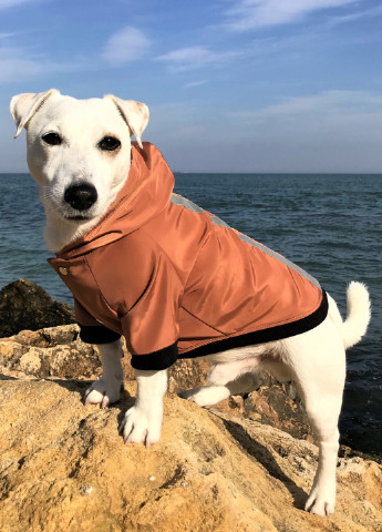 Куртка-ветровка DogClub (251149633)
