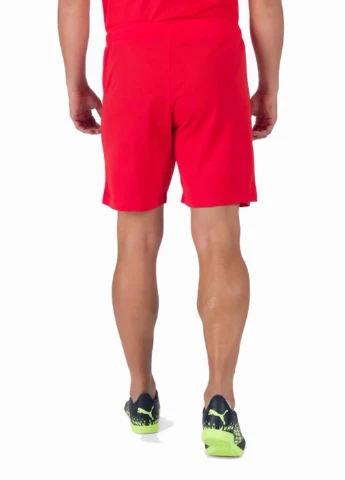 Шорты 704942-01 Puma teamRISE Short (327409088)