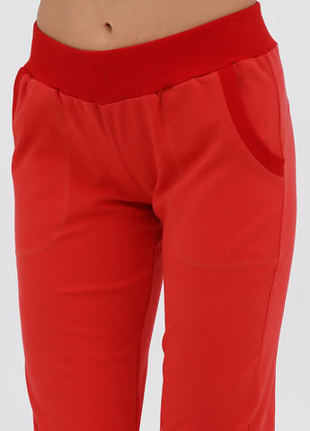 Костюм (футболка, бриджи) No Brand (331176340)