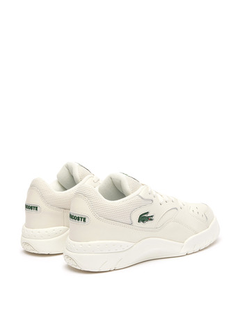 Кросівки Lacoste (298073539)