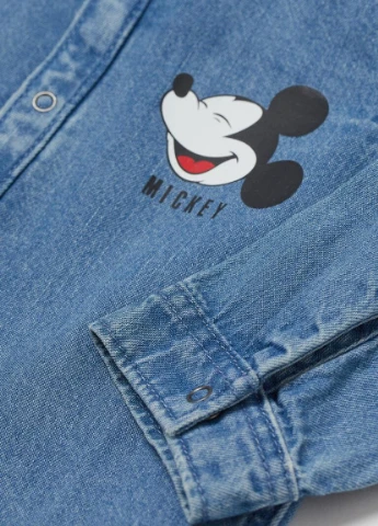 Блуза демісезон,блакитний з принтом, H&M (256502947)