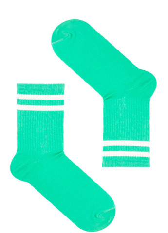 Шкарпетки Бірюзові з білими смужками SOX (225136973)