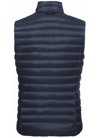 Жилет Jack Wolfskin PILVI DOWN VEST W RDS (368322175)