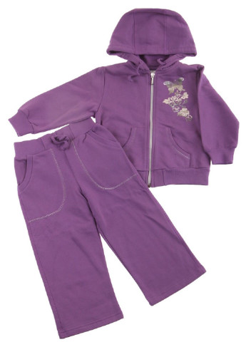 Фіолетовий демісезонний костюм (брюки, штани) Kid Joy