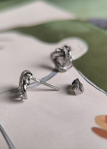 Сережки Silver Flame (350941487)