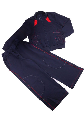 Темно-синій демісезонний костюм (бомпер, брюки) Valeri