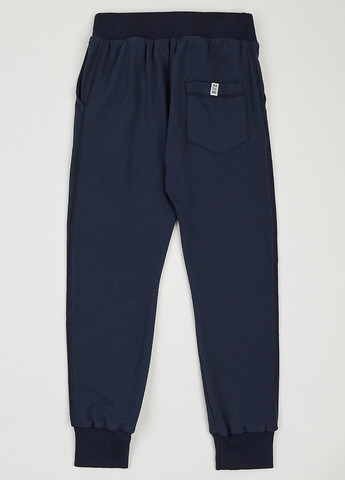 Темно-синие спортивные, кэжуал демисезонные брюки джоггеры ArDoMi