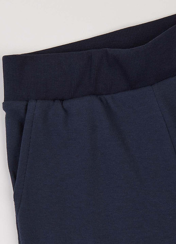 Темно-синие спортивные, кэжуал демисезонные брюки джоггеры ArDoMi