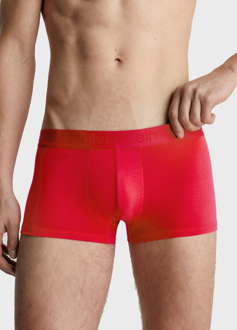 Трусы (3 шт.) Calvin Klein (328199913)