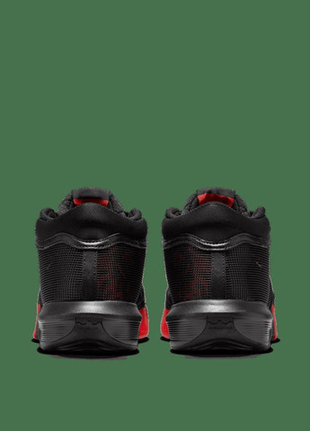 Черные демисезонные кроссовки fb2239-005 Nike LEBRON WITNESS VIII