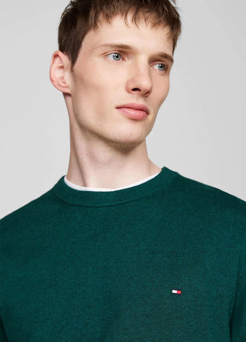 Зелений демісезонний джемпер джемпер Tommy Hilfiger