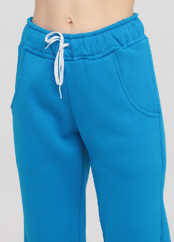 Голубые спортивные демисезонные джоггеры брюки Radda